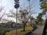 img0002.jpg