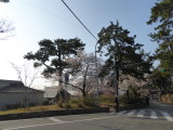 img0003.jpg
