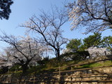 img0004.jpg