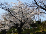 img0005.jpg