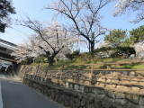 img0006.jpg