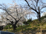 img0007.jpg