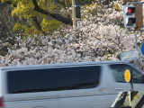 img0010.jpg