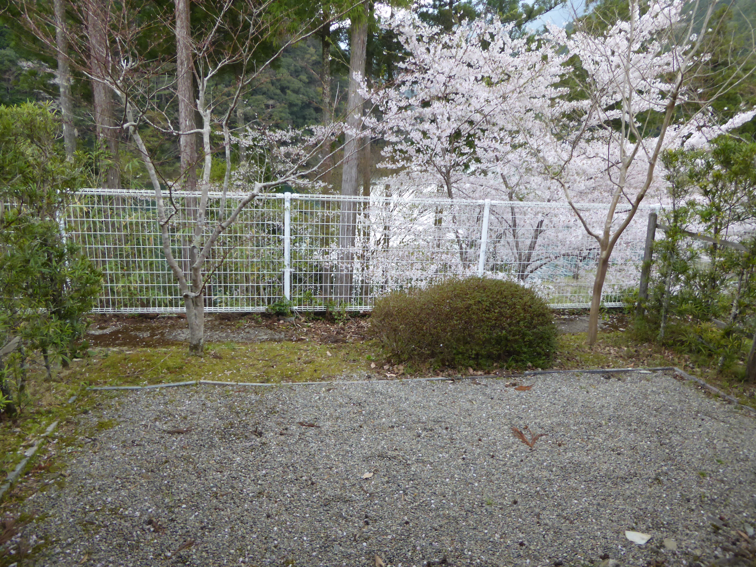 P1110224.JPG