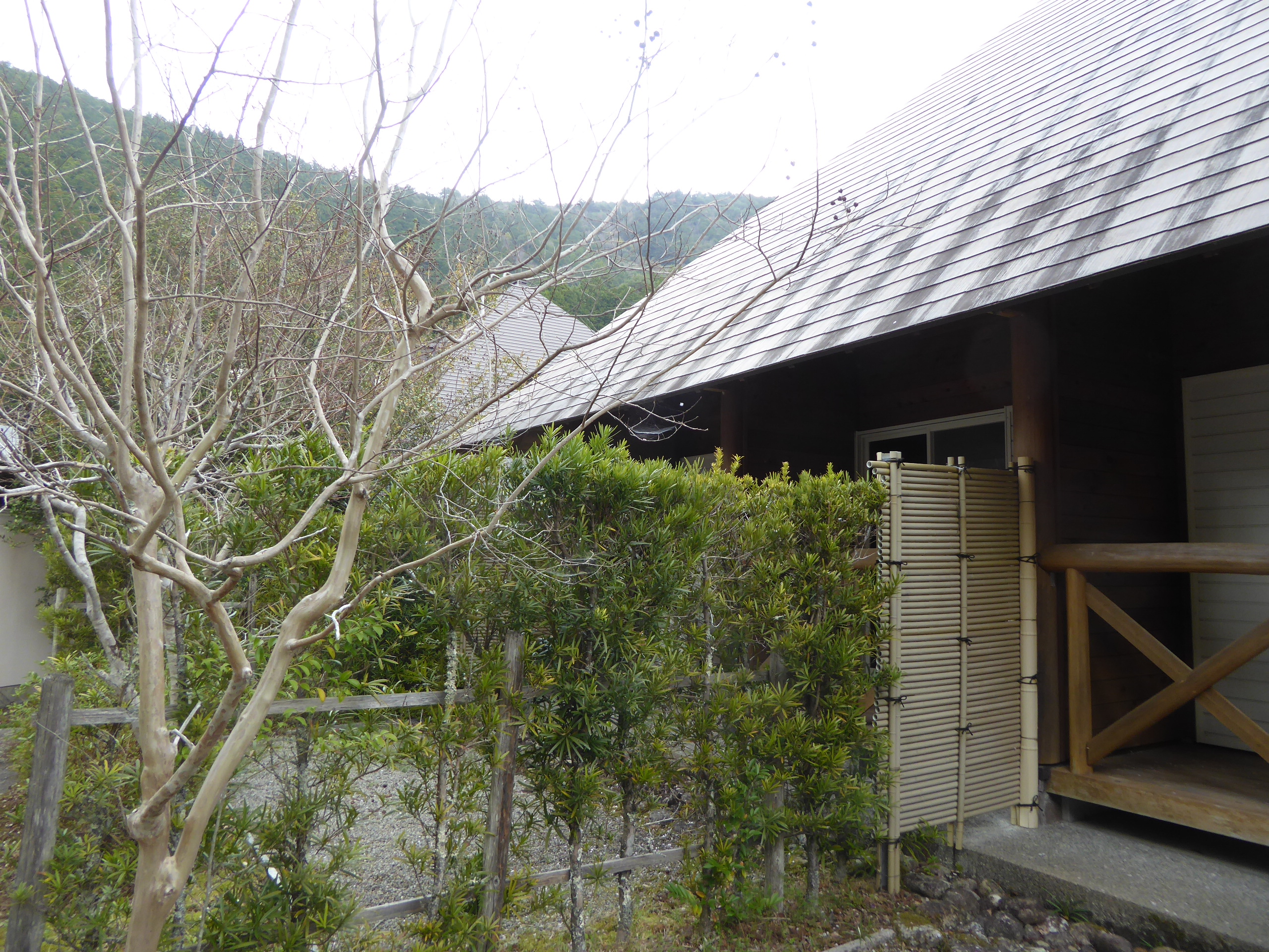 P1110225.JPG