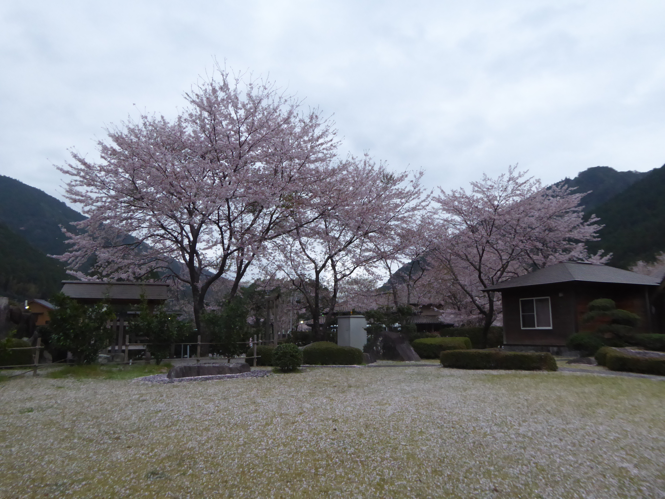 P1110231.JPG