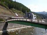 img0006.jpg