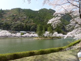 img0009.jpg