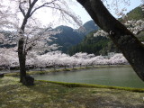 img0010.jpg