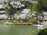 img0012.jpg