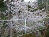 img0015.jpg