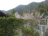 img0018.jpg