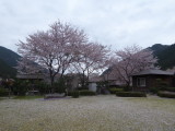 img0023.jpg