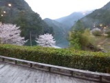 img0026.jpg