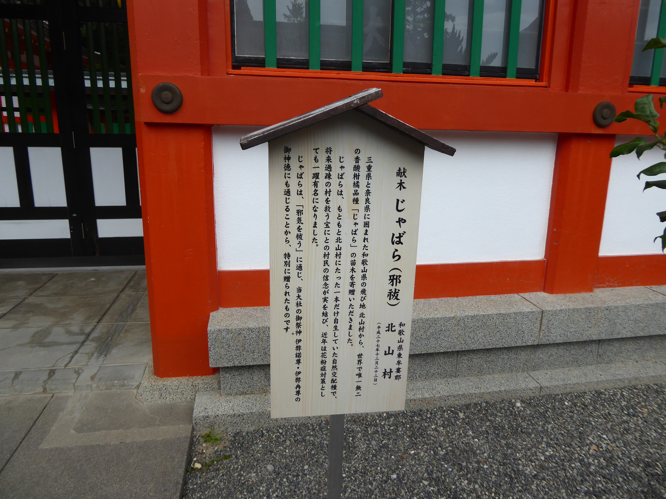 P1110256.JPG