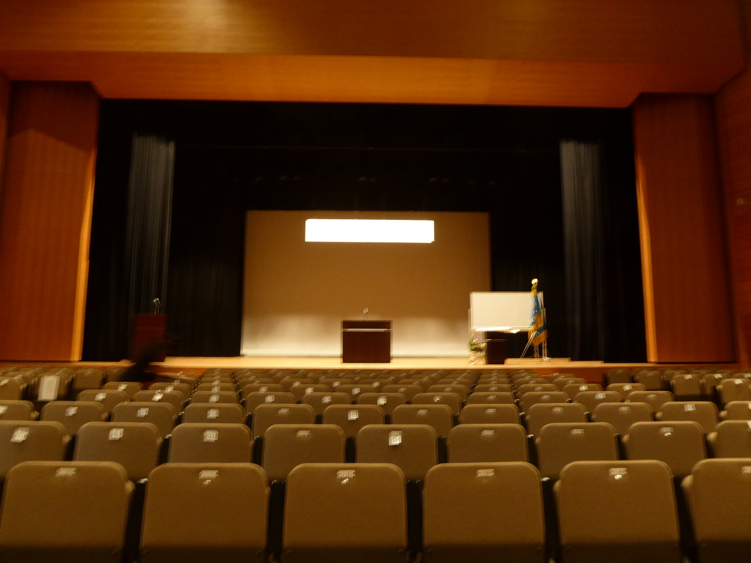 P1110273.JPG