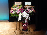 img0020.jpg
