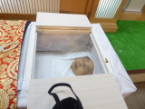 img0010.jpg