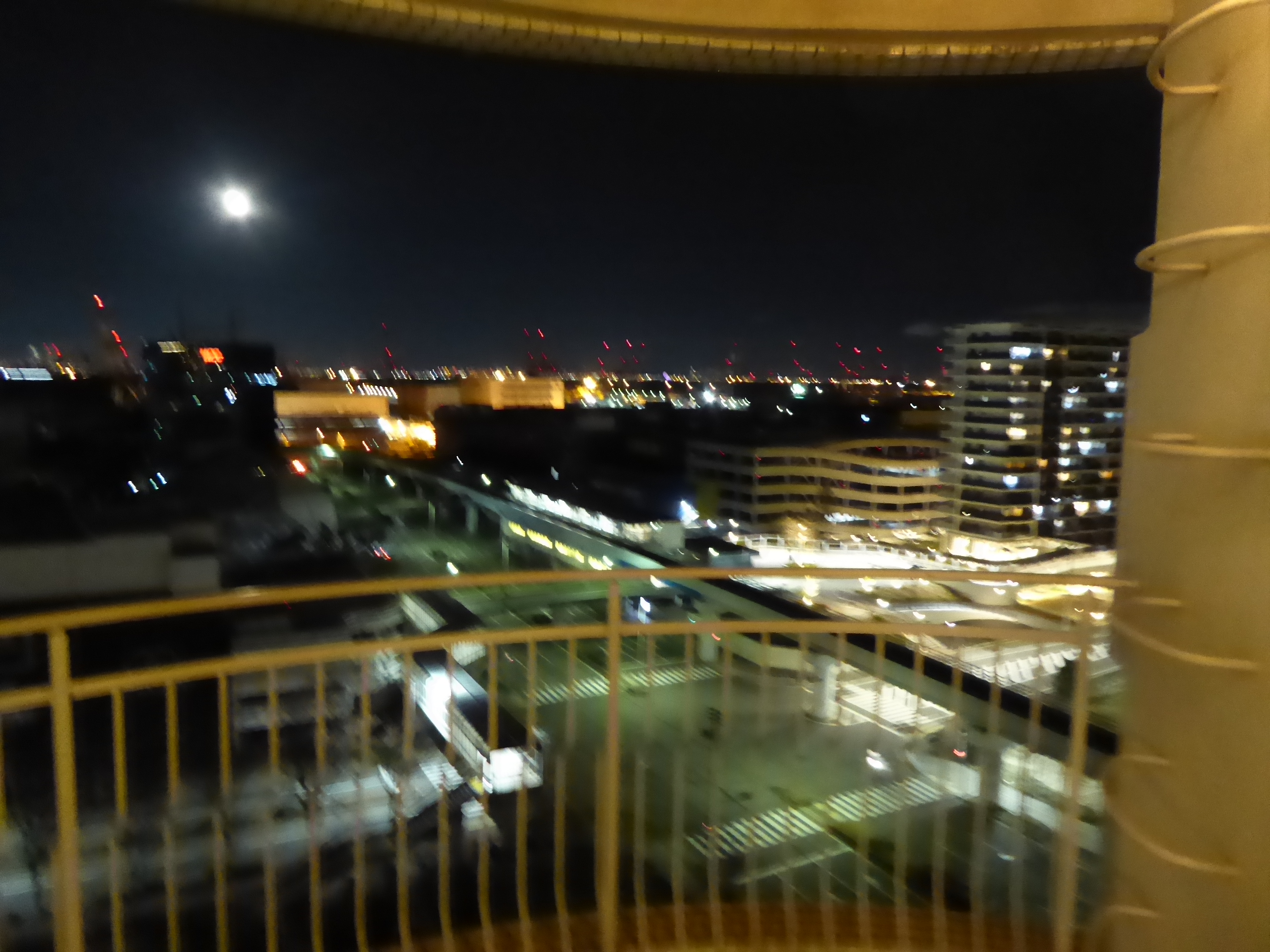 P1130449.JPG
