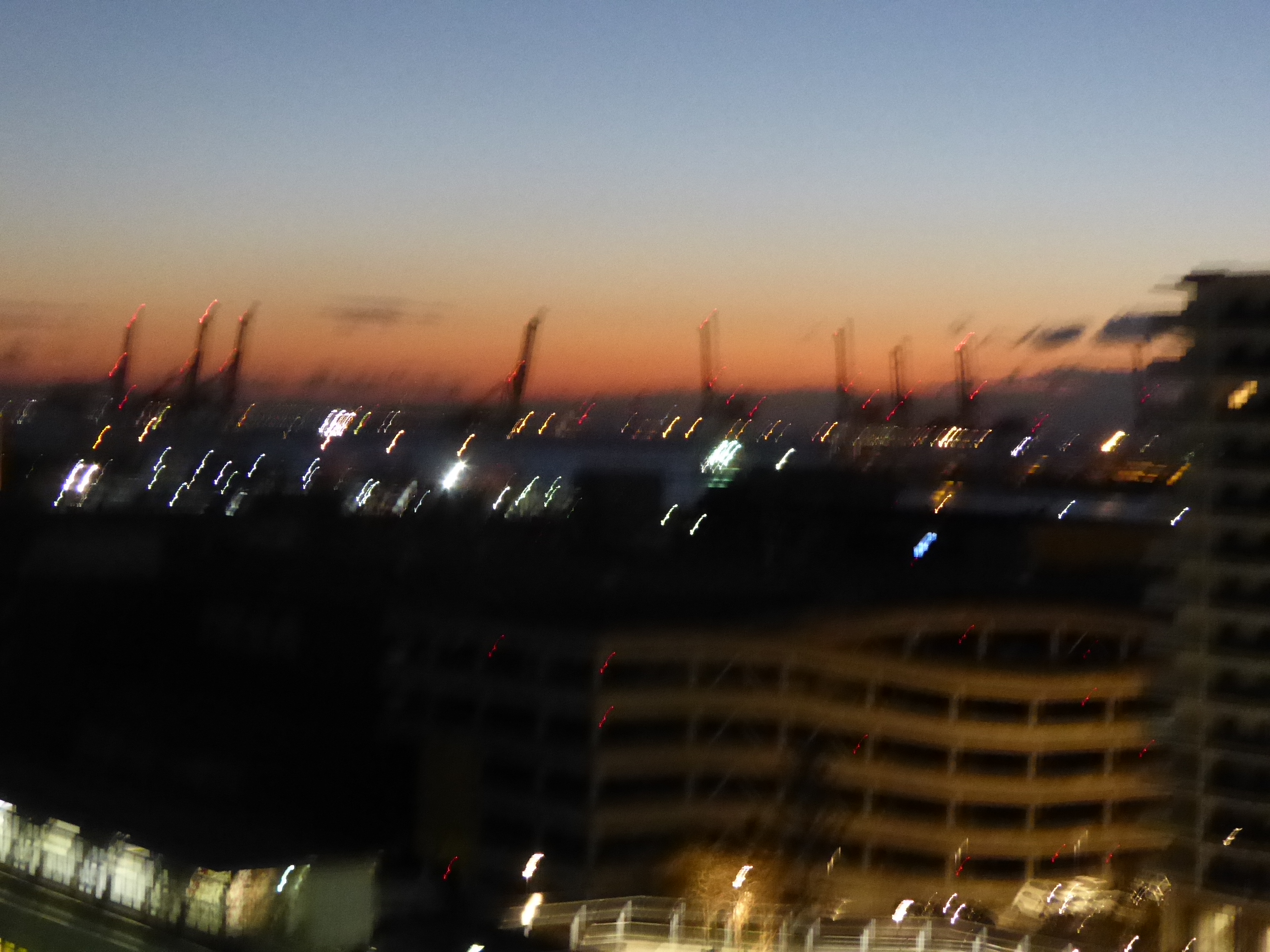 P1130450.JPG
