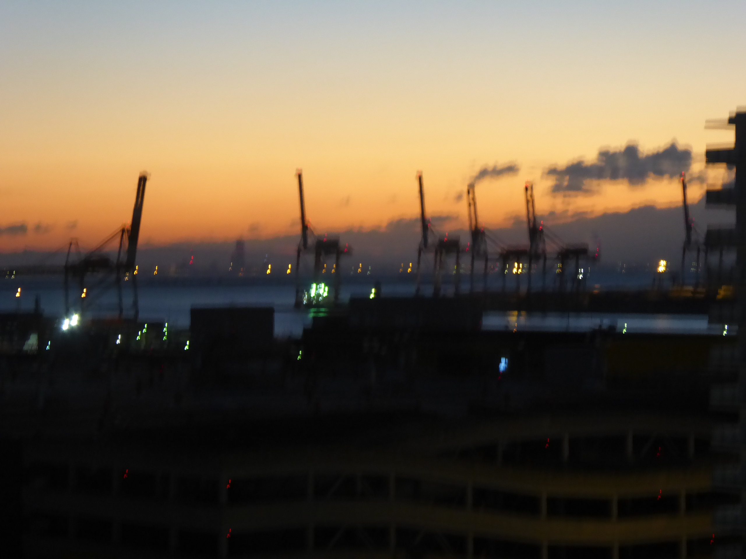 P1130453.JPG