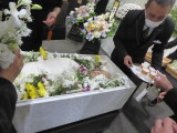 img0002.jpg