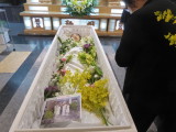 img0019.jpg