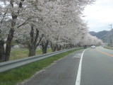 img0000.jpg