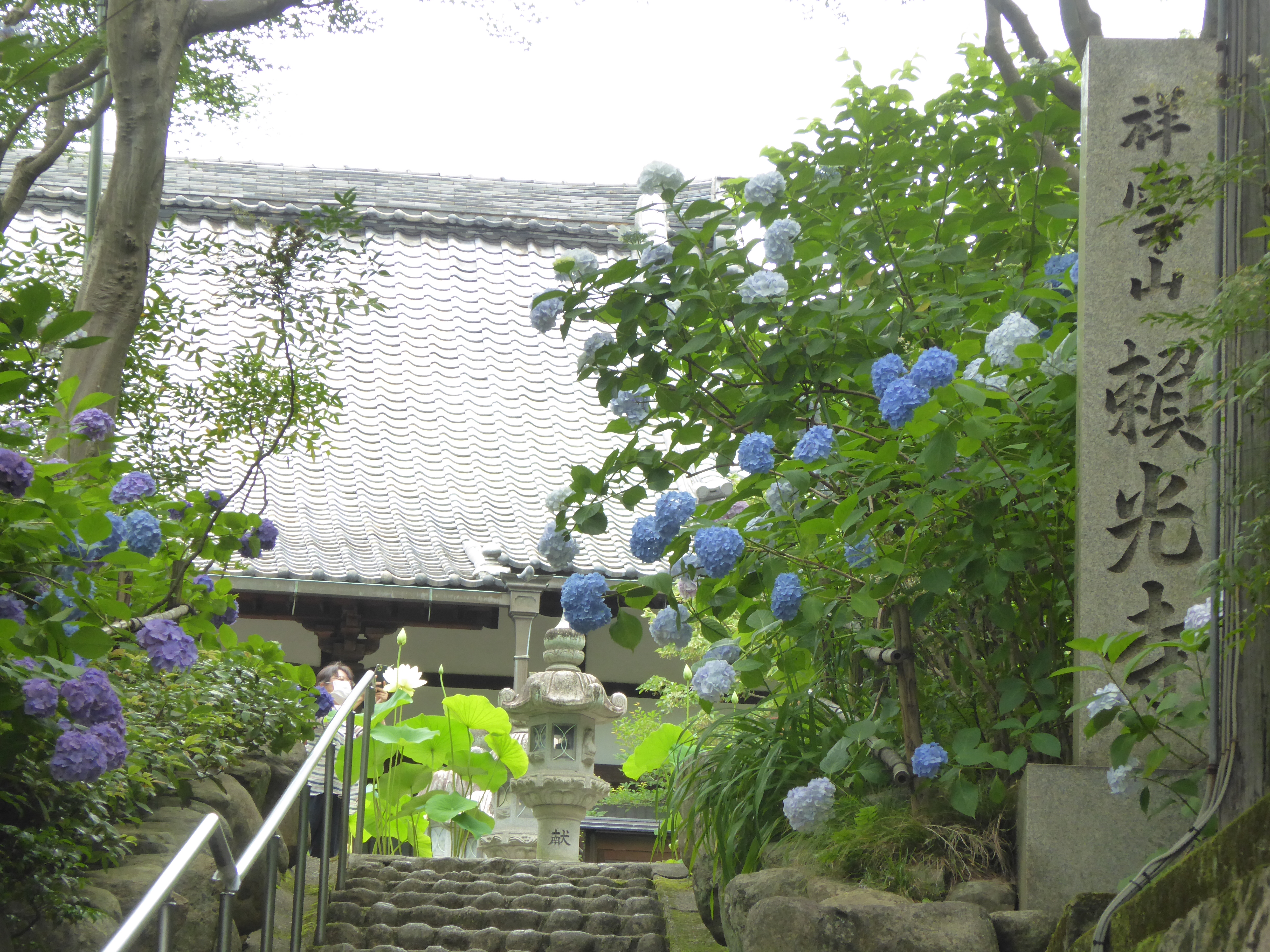 P1130719.JPG