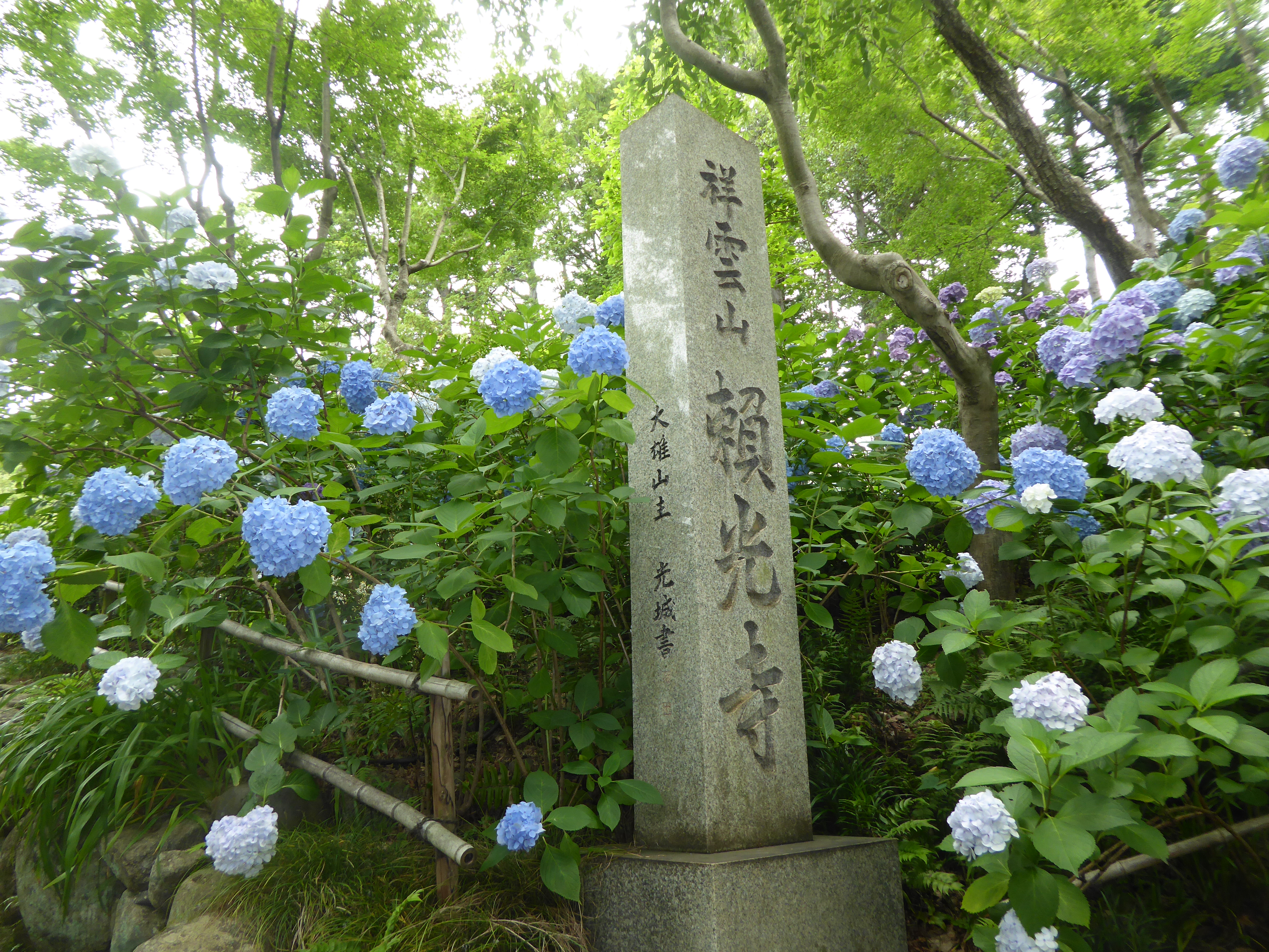 P1130720.JPG