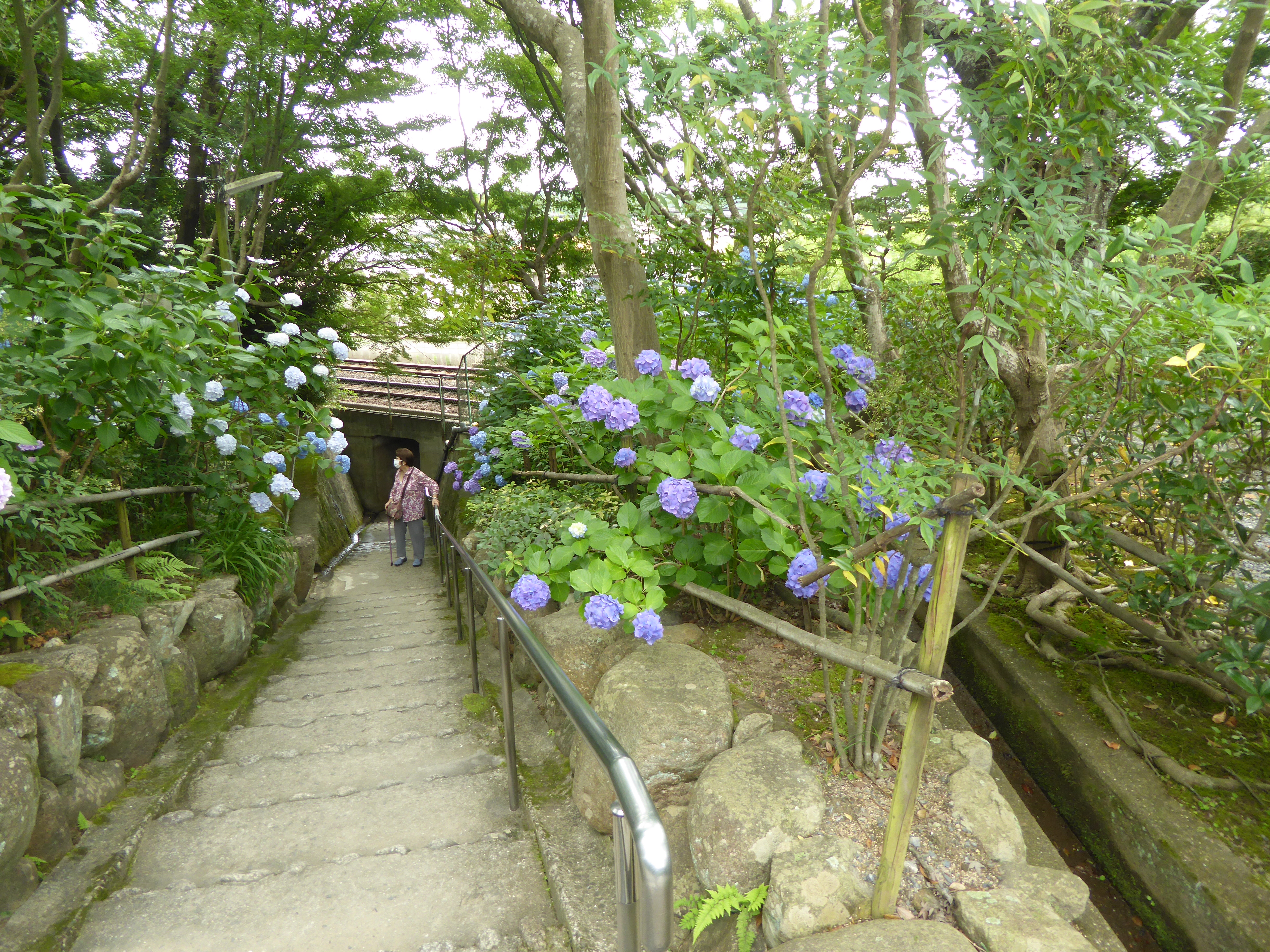 P1130721.JPG