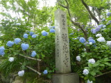 img0001.jpg