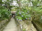 img0002.jpg