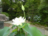 img0003.jpg