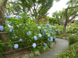img0004.jpg