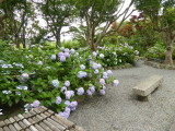 img0006.jpg