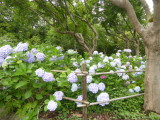 img0007.jpg