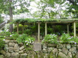 img0013.jpg