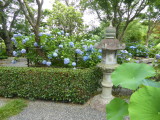 img0014.jpg