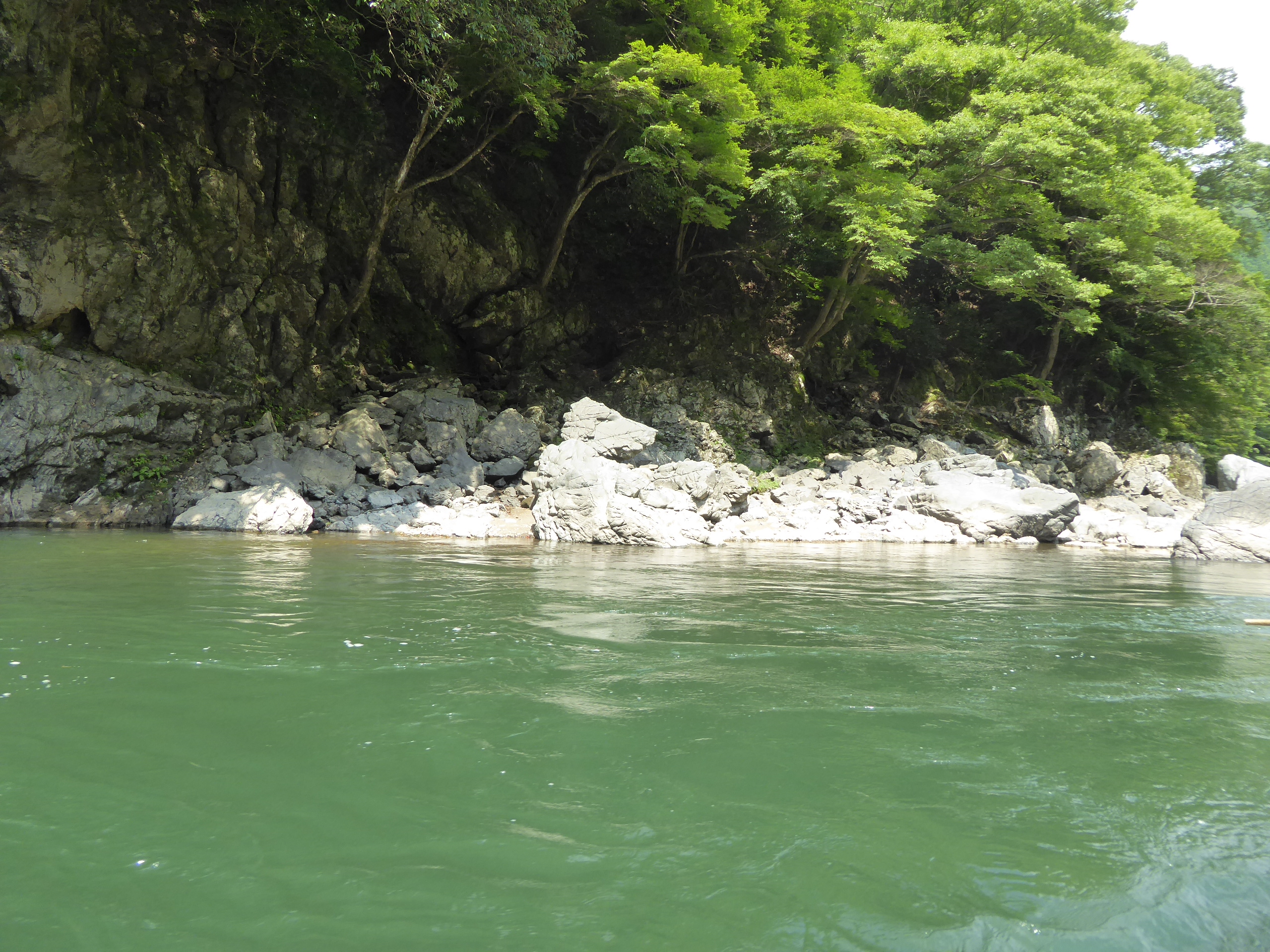 P1130764.JPG