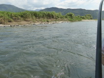 img0008.jpg