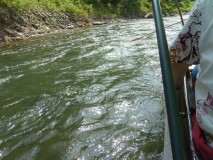 img0013.jpg