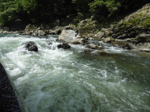 img0029.jpg