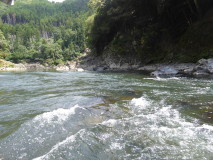img0033.jpg
