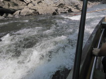 img0036.jpg