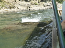 img0037.jpg