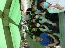 img0049.jpg