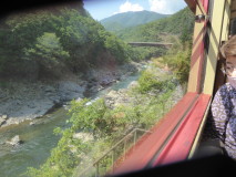 img0061.jpg