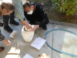 img0003.jpg