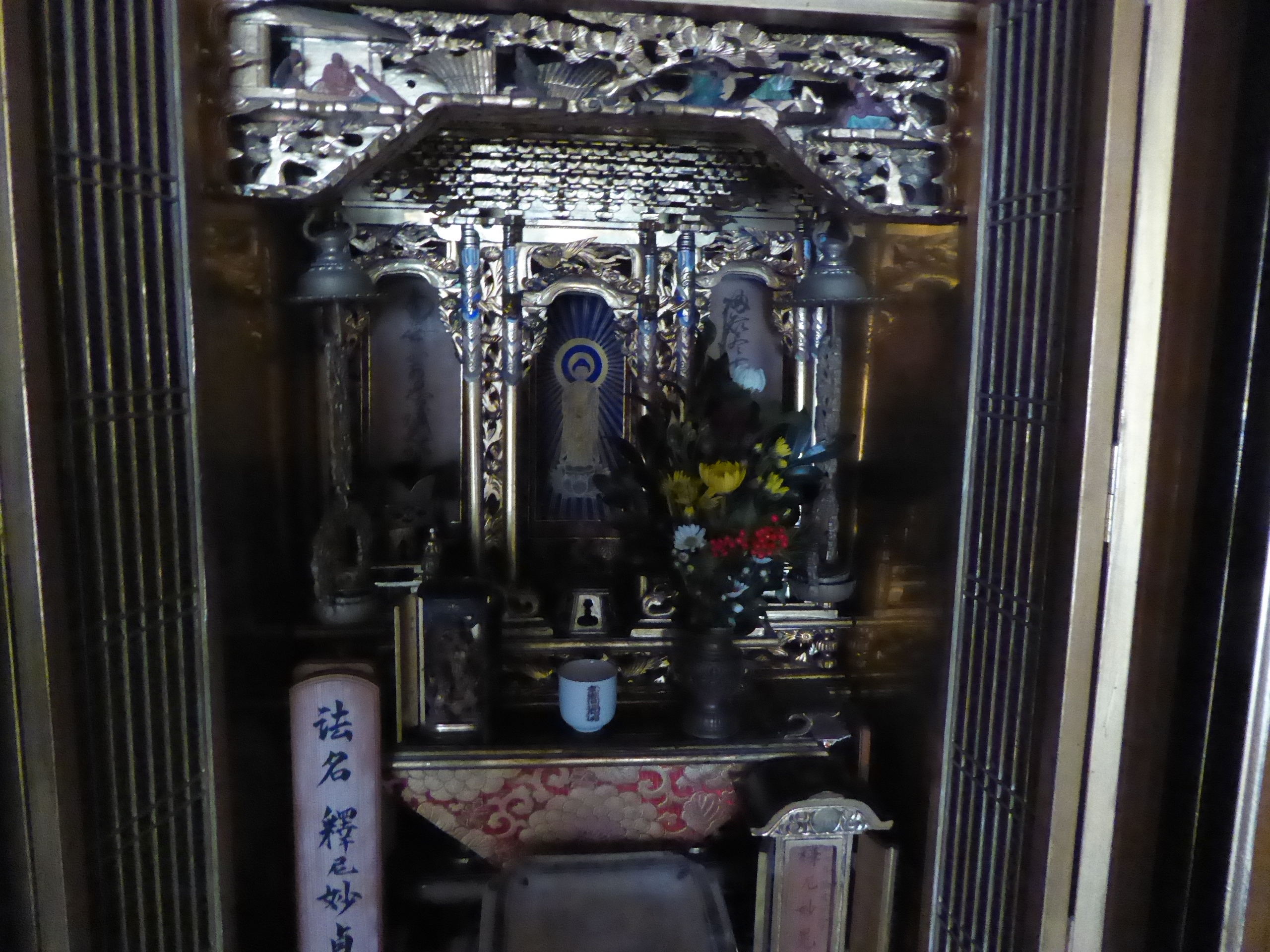 P1140015.JPG